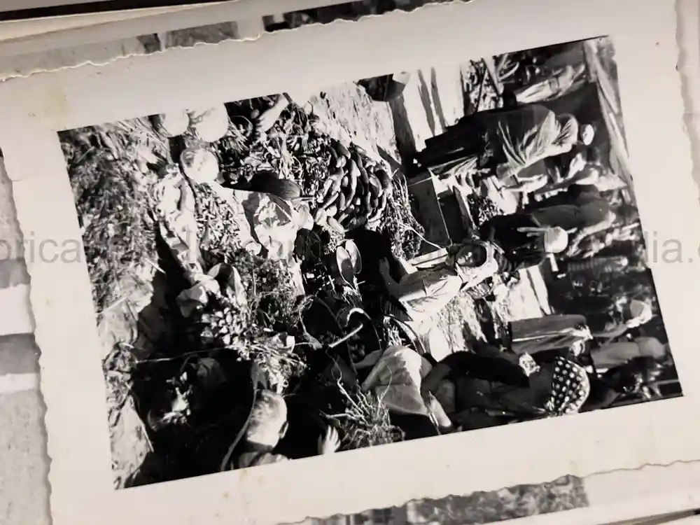 WWII GERMAN ARMY PHOTO GROUPING