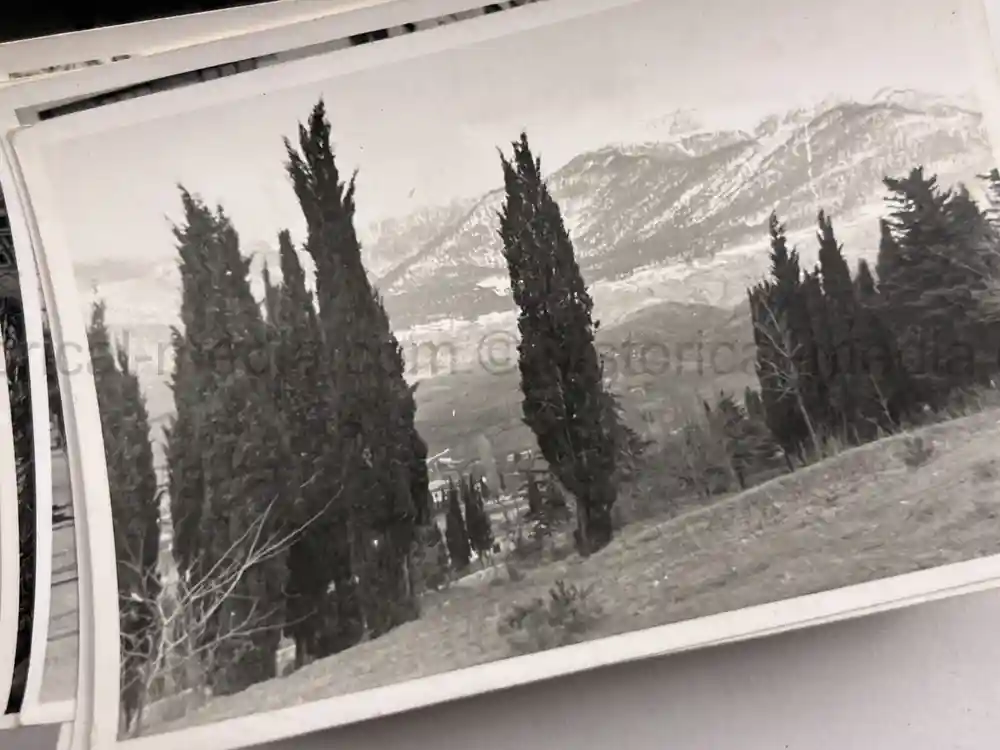 WWII GERMAN ARMY PHOTO GROUPING