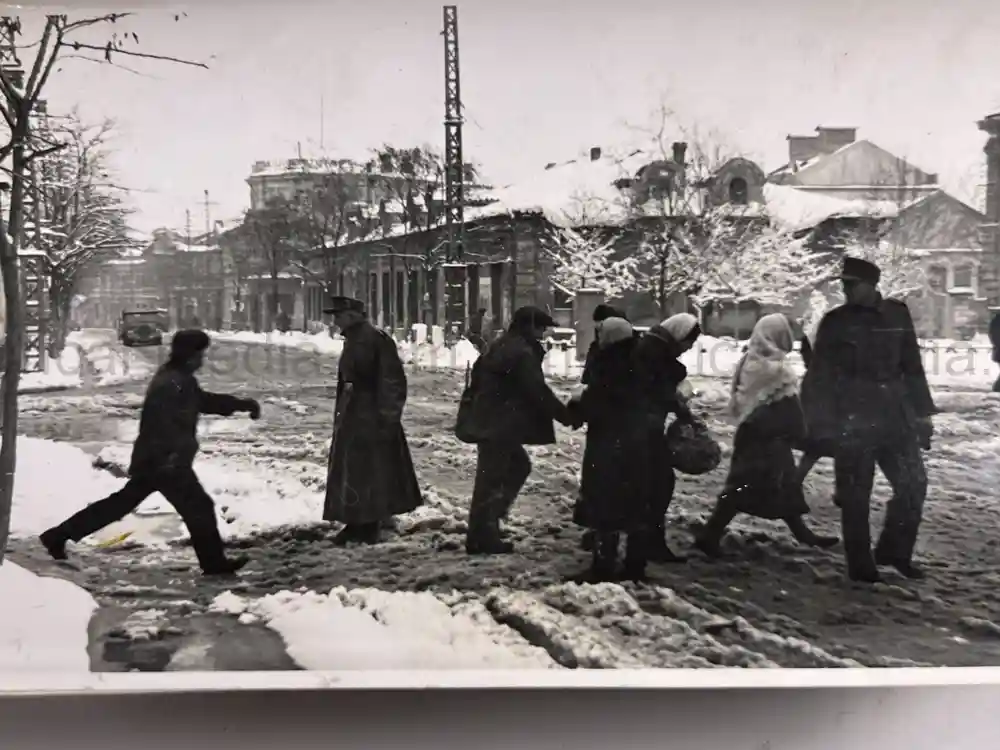 WWII GERMAN ARMY PHOTO GROUPING