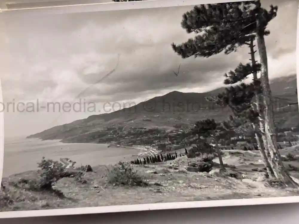 WWII GERMAN ARMY PHOTO GROUPING