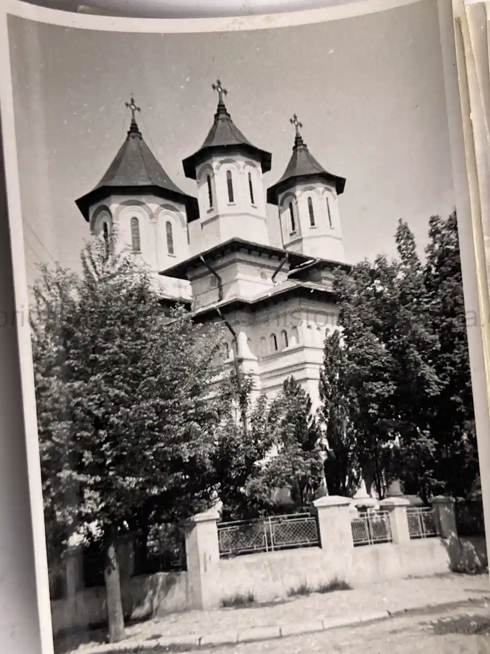 WWII GERMAN ARMY PHOTO GROUPING