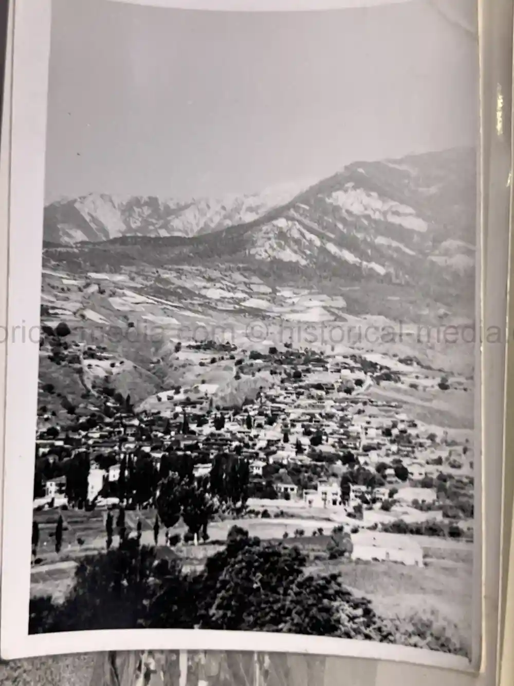 WWII GERMAN ARMY PHOTO GROUPING