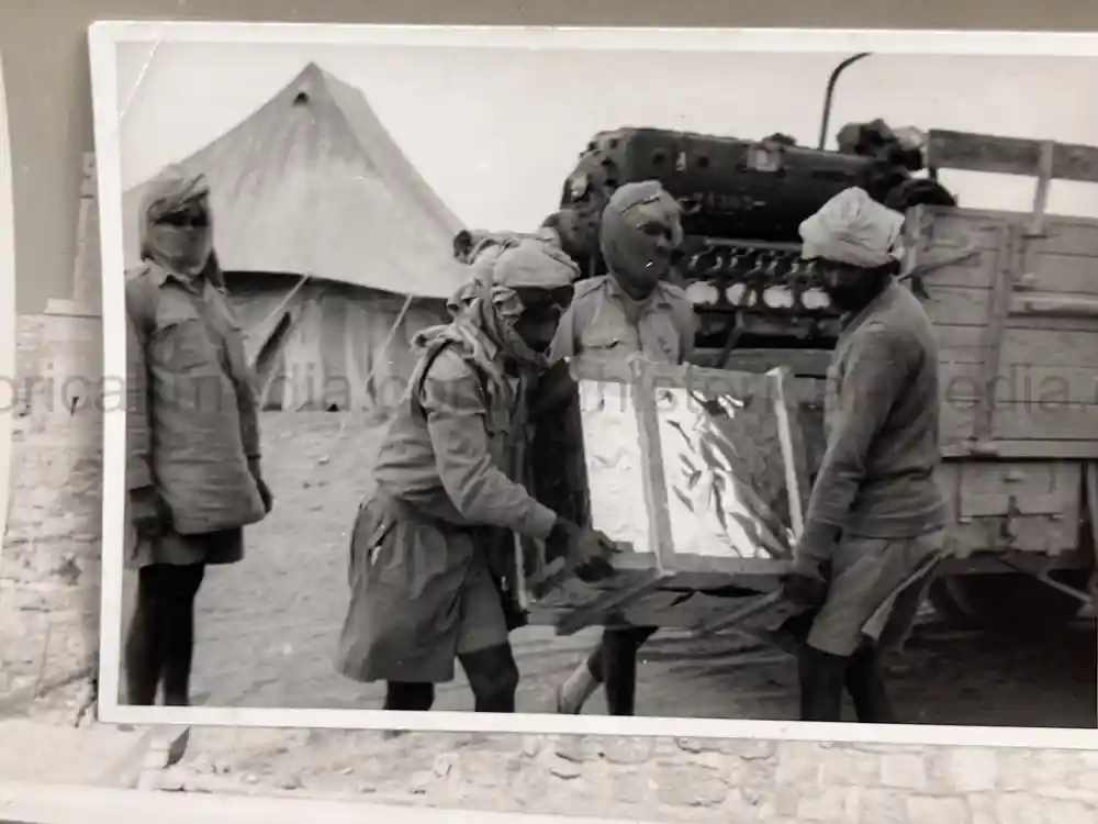WWII GERMAN ARMY PHOTO GROUPING