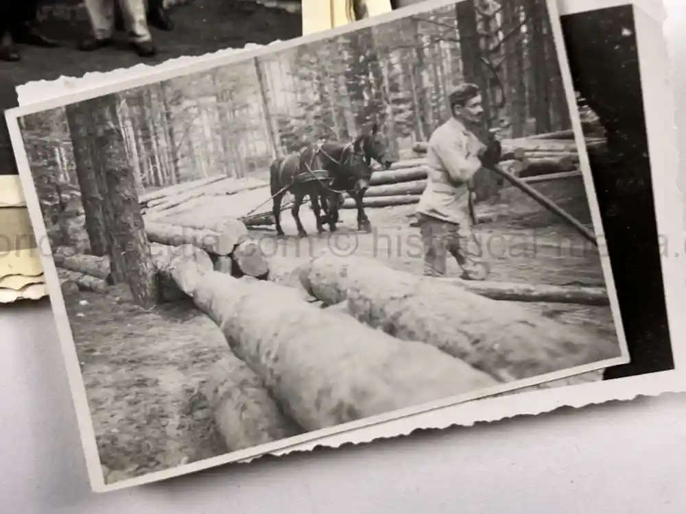 WWII GERMAN ARMY PHOTO GROUPING