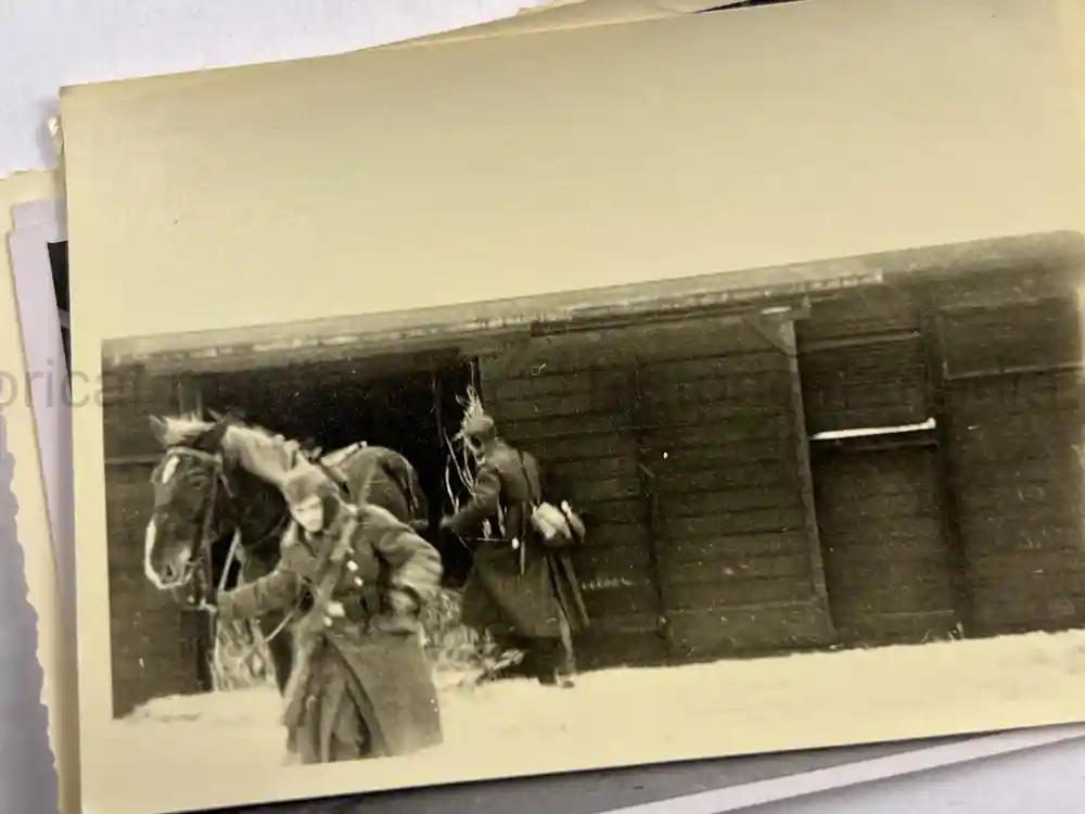 WWII GERMAN ARMY PHOTO GROUPING