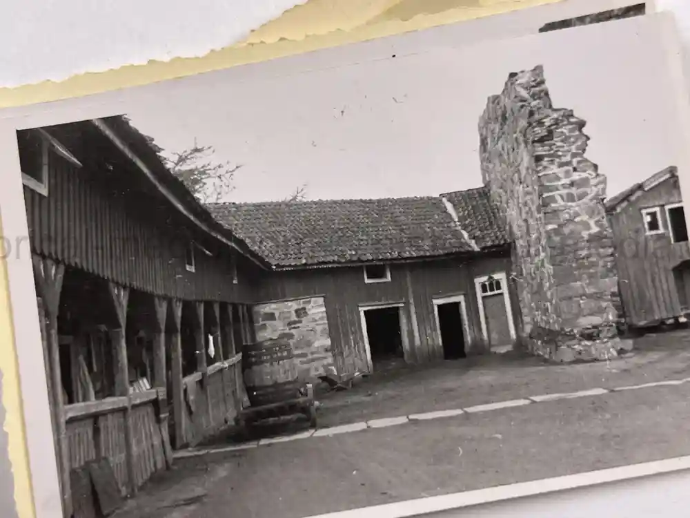 WWII GERMAN ARMY PHOTO GROUPING