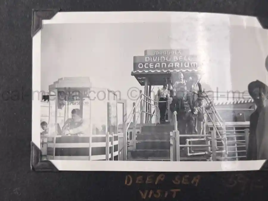 US WWII AIR CORPS PHOTO ALBUM - 31st FIGHTER SQUADRON - MASSIVE!