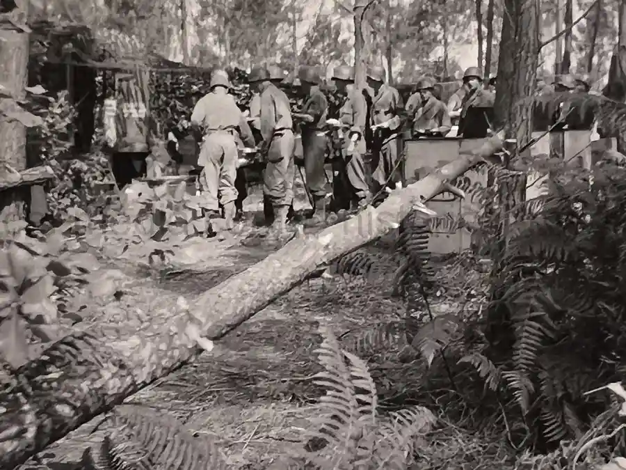US WWII ARMORED PHOTO & INSIGNIA GROUPING - 8TH ARMORED DIVISION US WWII ARMORED PHOTO & INSIGNIA GROUPING - 8TH ARMORED DIVISION