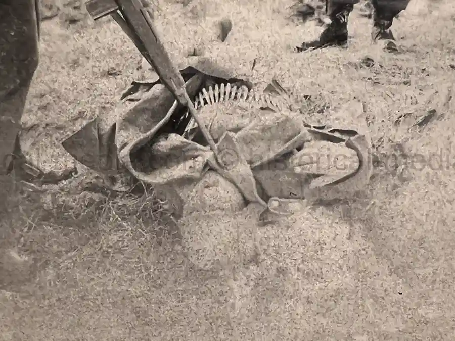 US WWII ARMORED PHOTO & INSIGNIA GROUPING - 8TH ARMORED DIVISION US WWII ARMORED PHOTO & INSIGNIA GROUPING - 8TH ARMORED DIVISION