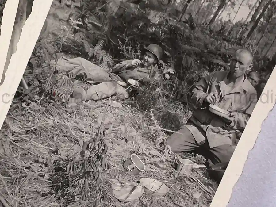US WWII ARMORED PHOTO & INSIGNIA GROUPING - 8TH ARMORED DIVISION US WWII ARMORED PHOTO & INSIGNIA GROUPING - 8TH ARMORED DIVISION