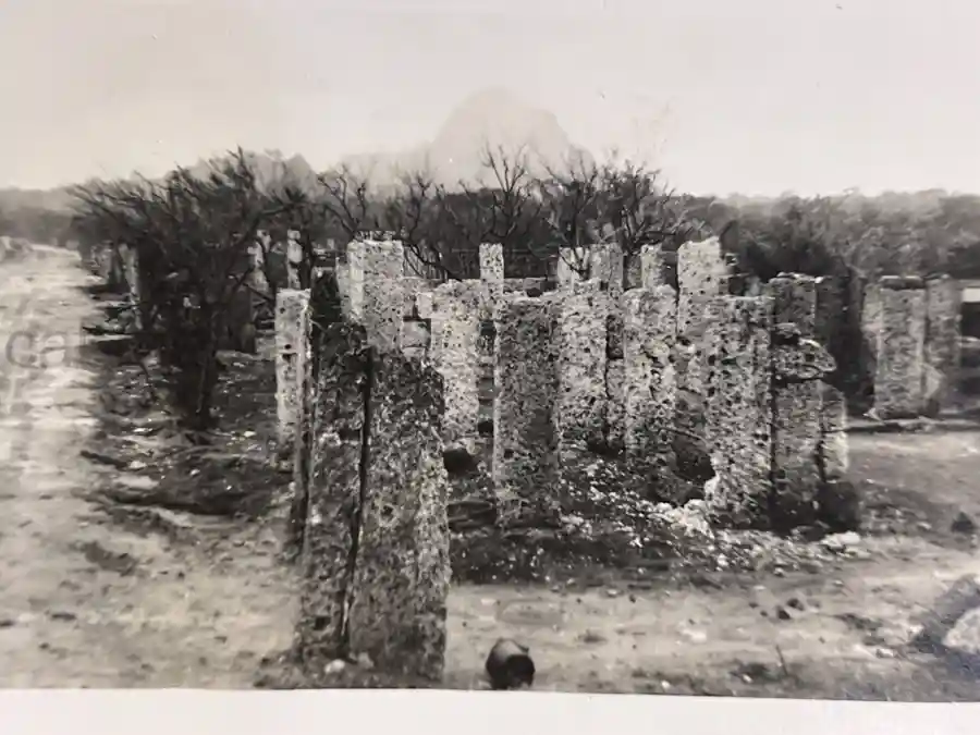 US WWII ARMORED PHOTO & INSIGNIA GROUPING - 8TH ARMORED DIVISION US WWII ARMORED PHOTO & INSIGNIA GROUPING - 8TH ARMORED DIVISION