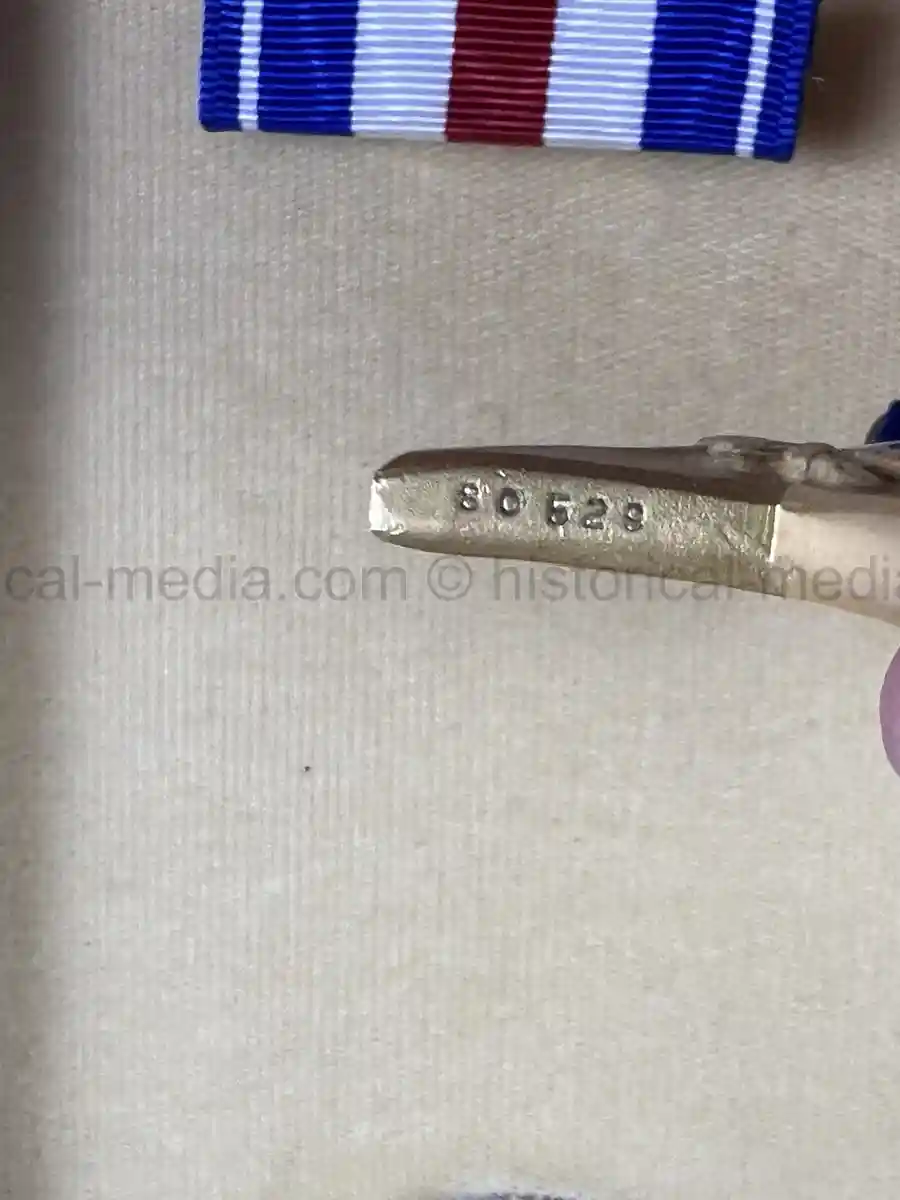 US WWII SILVER STAR MEDAL & CITATION GROUPING - 517th PARACHUTE INFANTRY REGIMENT - OPERATION DRAGOON - POW US WWII SILVER STAR MEDAL & CITATION GROUPING - 517th PARACHUTE INFANTRY REGIMENT - OPERATION DRAGOON - POW