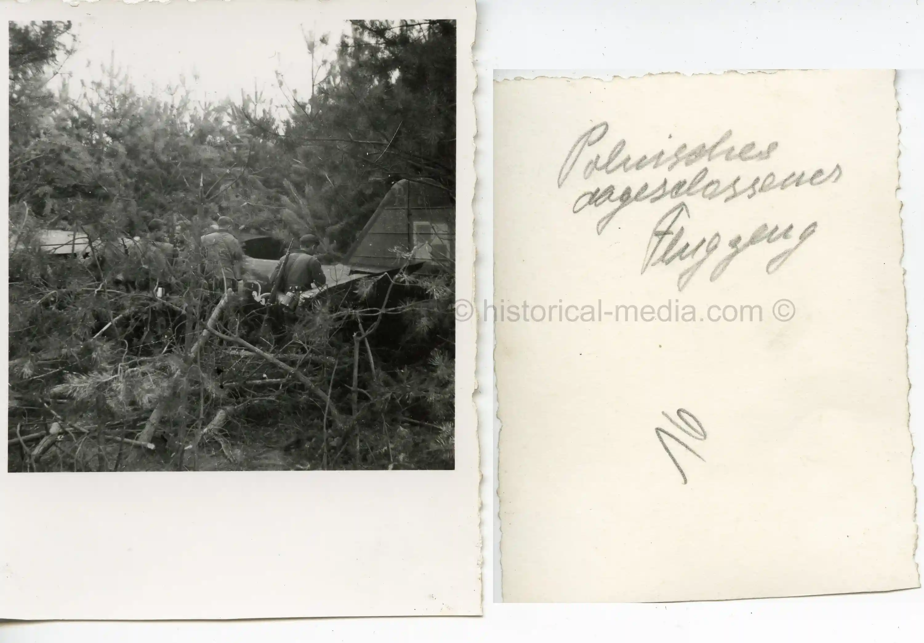 GERMAN PHOTO OF A CRASHED POLISH AIRPLANE BEING INSPECTED