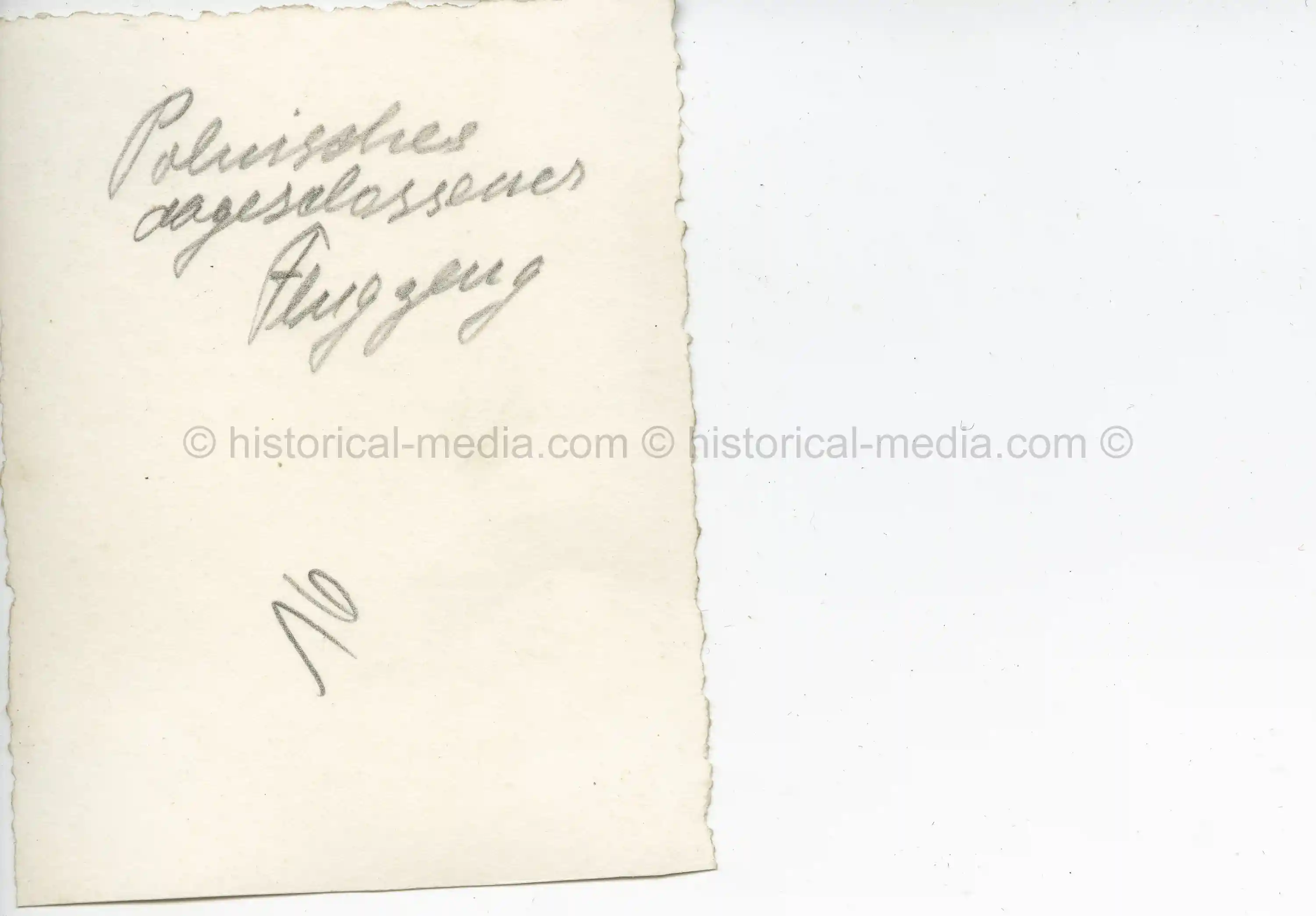 GERMAN PHOTO OF A CRASHED POLISH AIRPLANE BEING INSPECTED