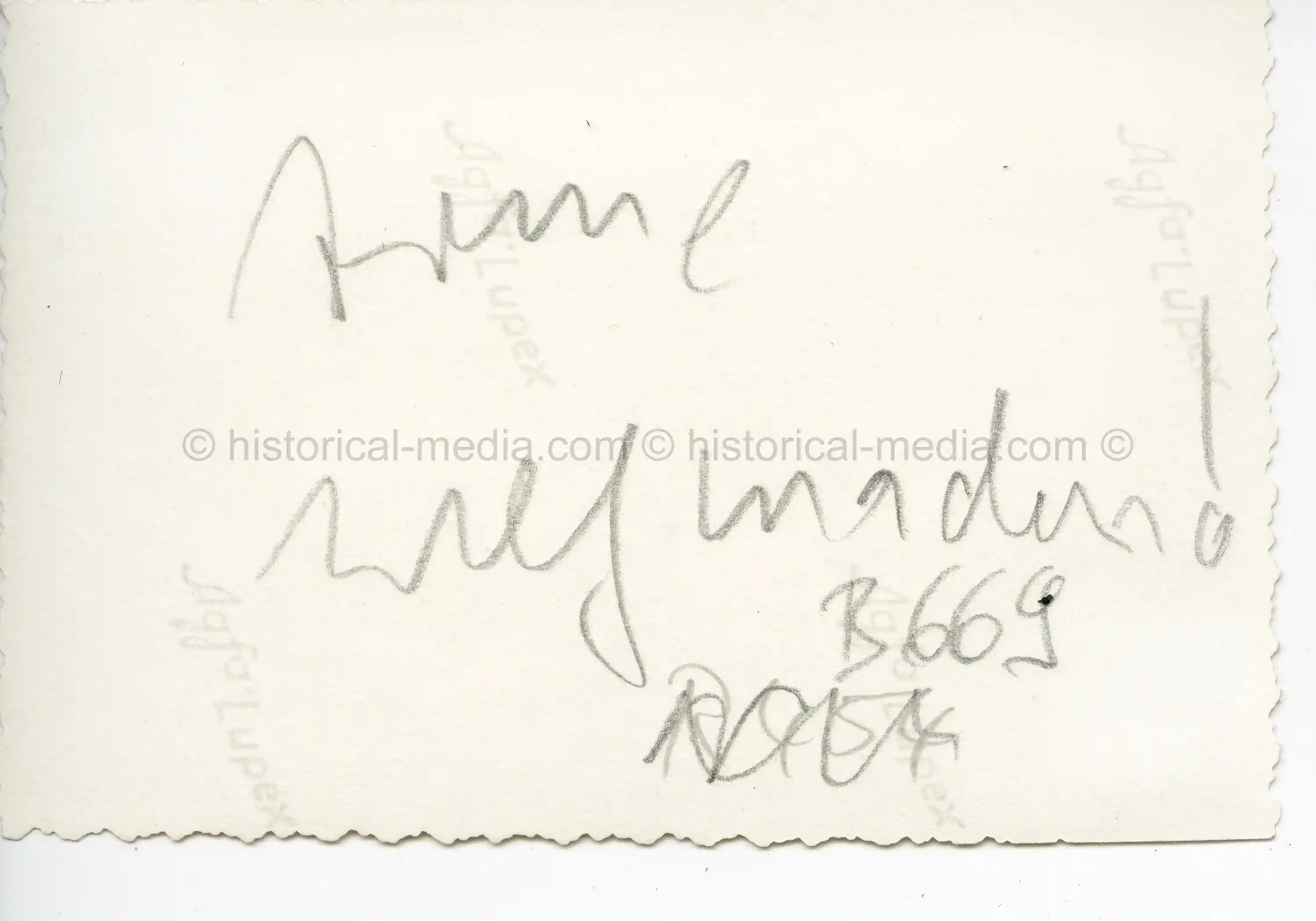 GERMAN PHOTO M16 POLICE HELMETS IN WEAR + SAXONY STANDARTE