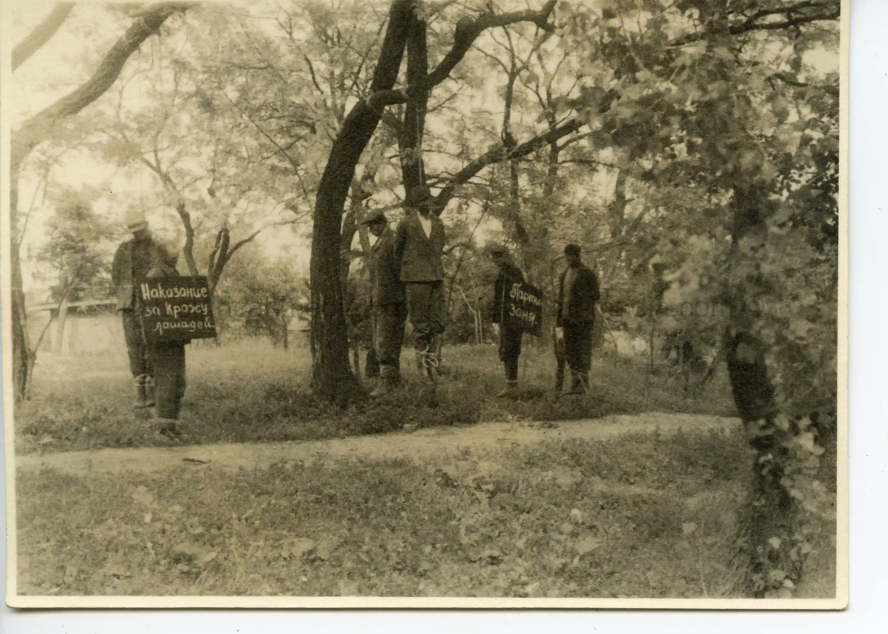 GERMAN PHOTO OF HANGED PARTISANS W/ POSTED SIGN - 