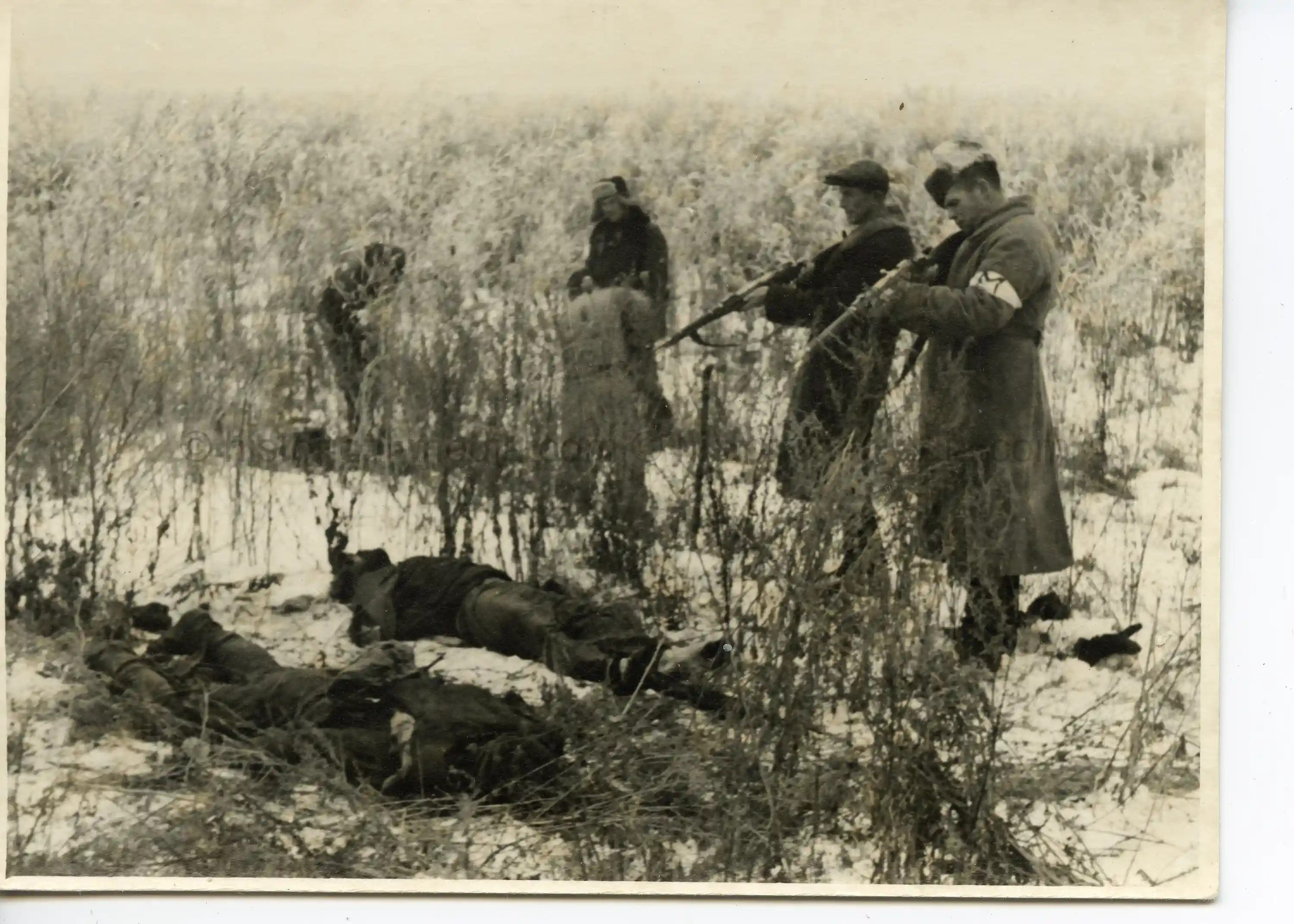 GERMAN PHOTO OF PARTISANS BEING EXECUTED BY FIRING SQUAD
