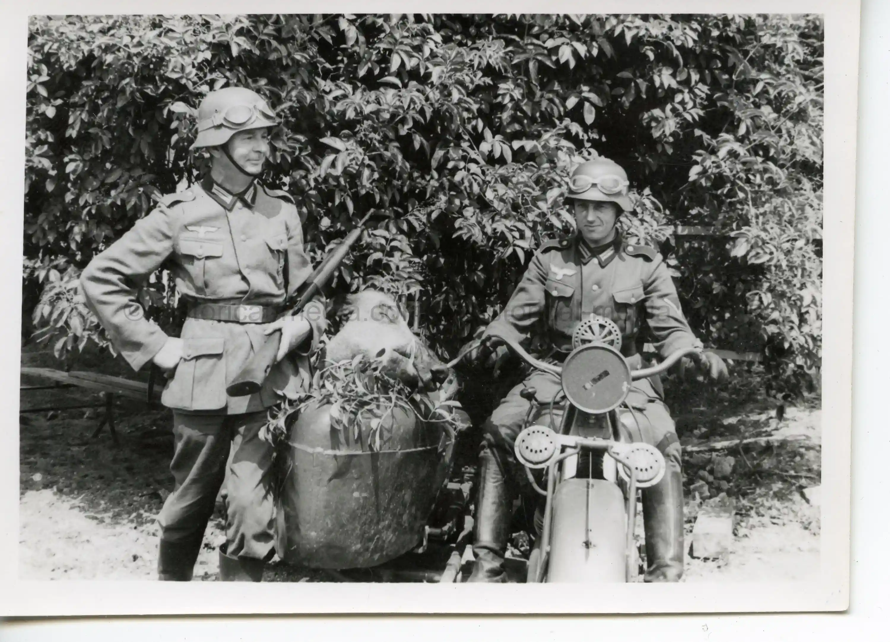 PHOTO OF SOLDIERS ON MOTORCYCLE W PIG'S HEAD IN SIDE CAR