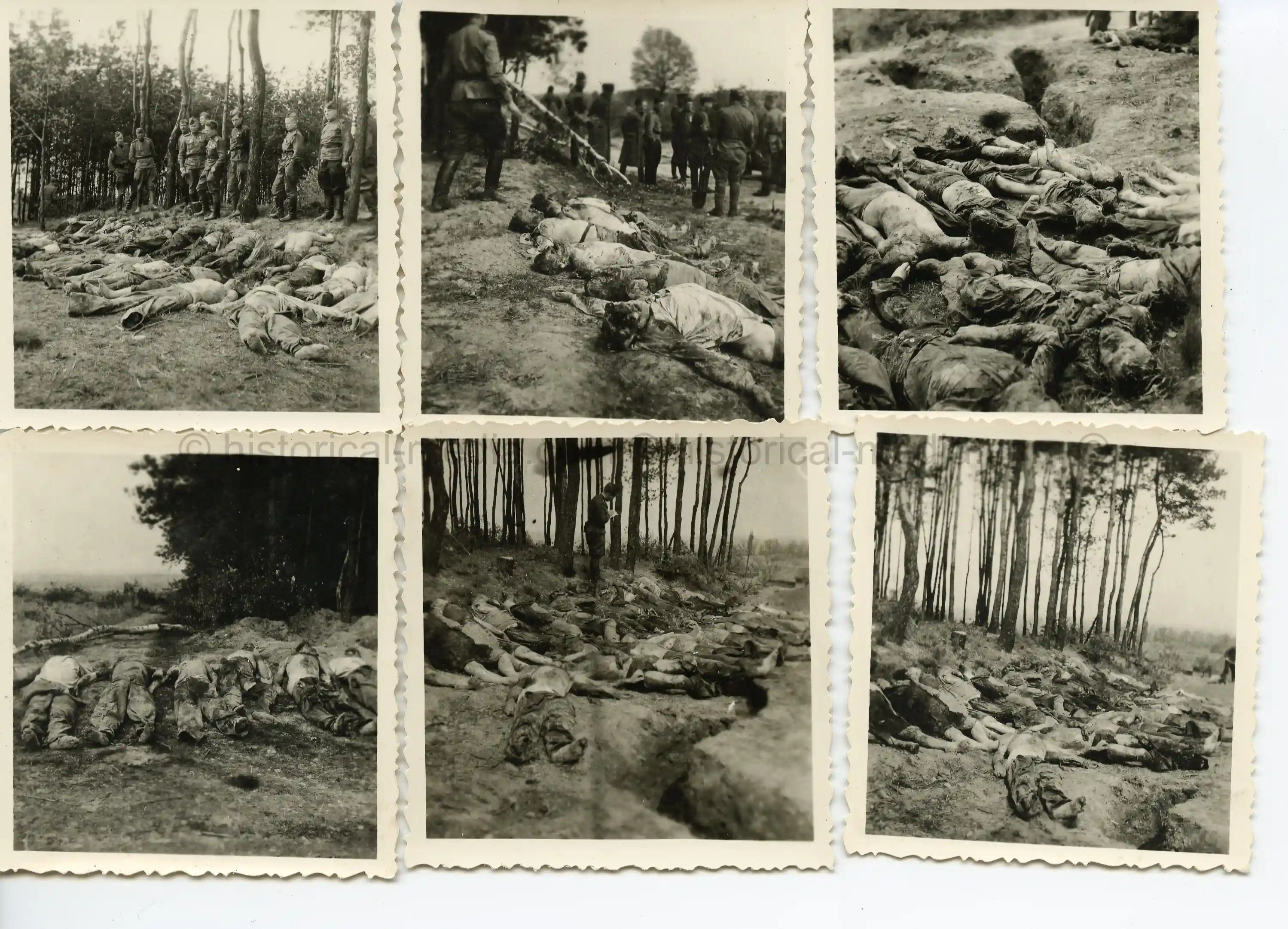 6X PHOTOS OF GERMAN SOLDIERS UNCOVERING SOVIET ATROCITIES