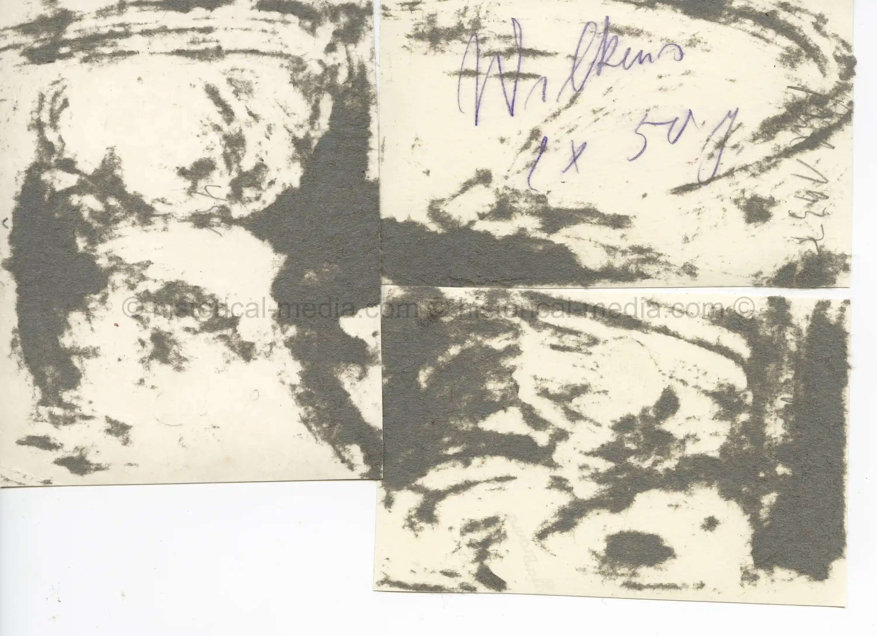 3X PHOTOS NSKK TROOPS - BENEDICT CUMBERBATCH LOOK-ALIKE