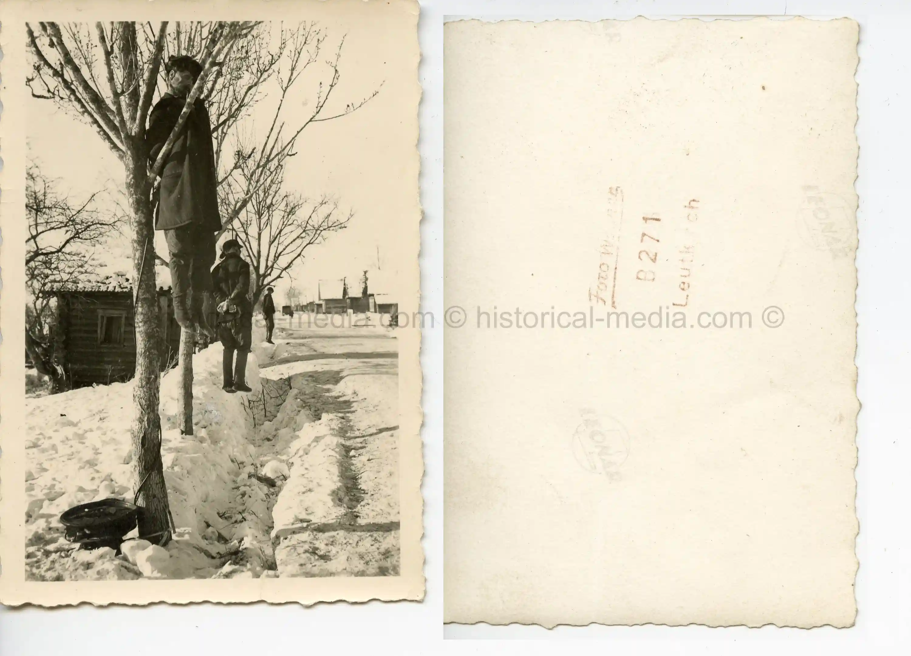 PHOTO OF HANGED PARTISANS IN ROADSIDE TREES