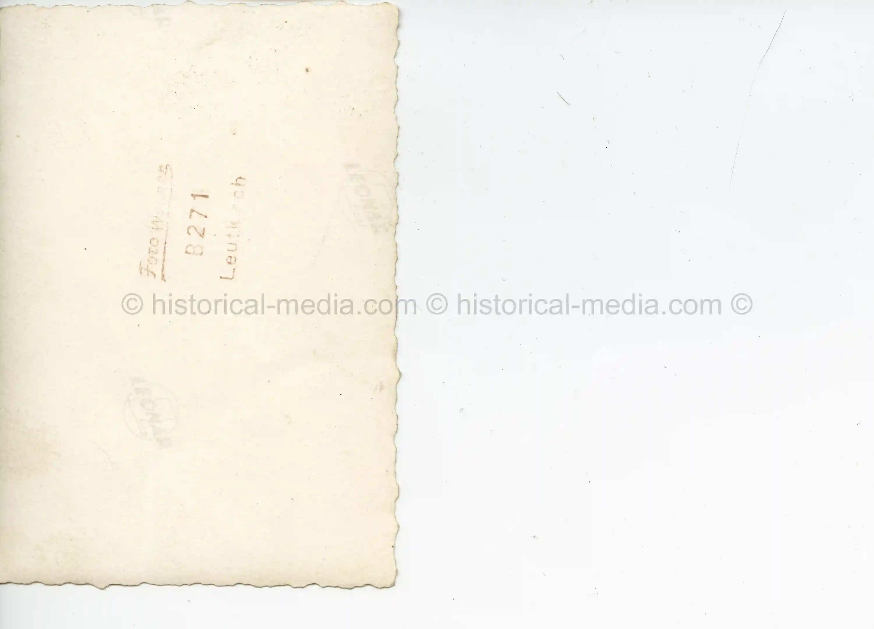 PHOTO OF HANGED PARTISANS IN ROADSIDE TREES