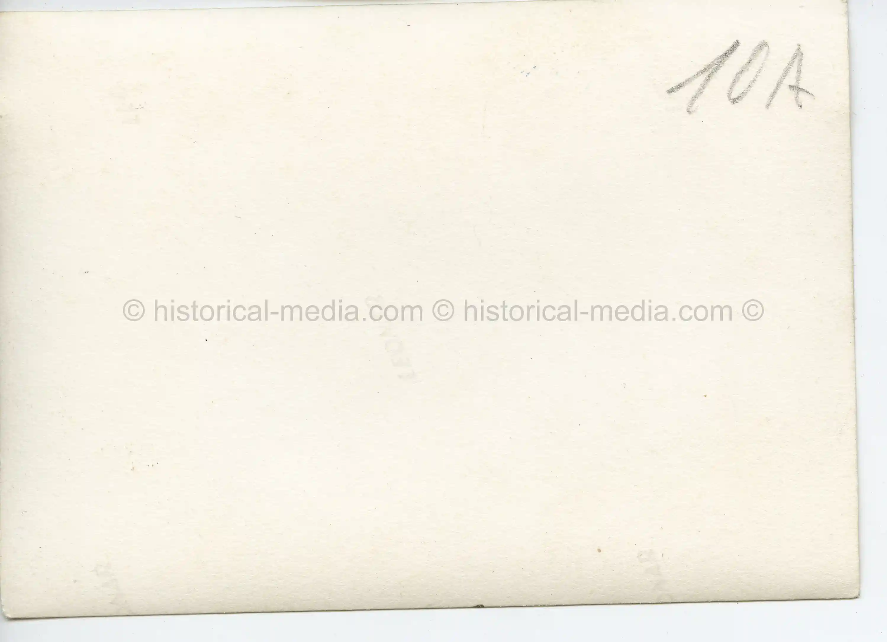 GROUP PHOTO OF SS TROOPS + GORGET IN WEAR