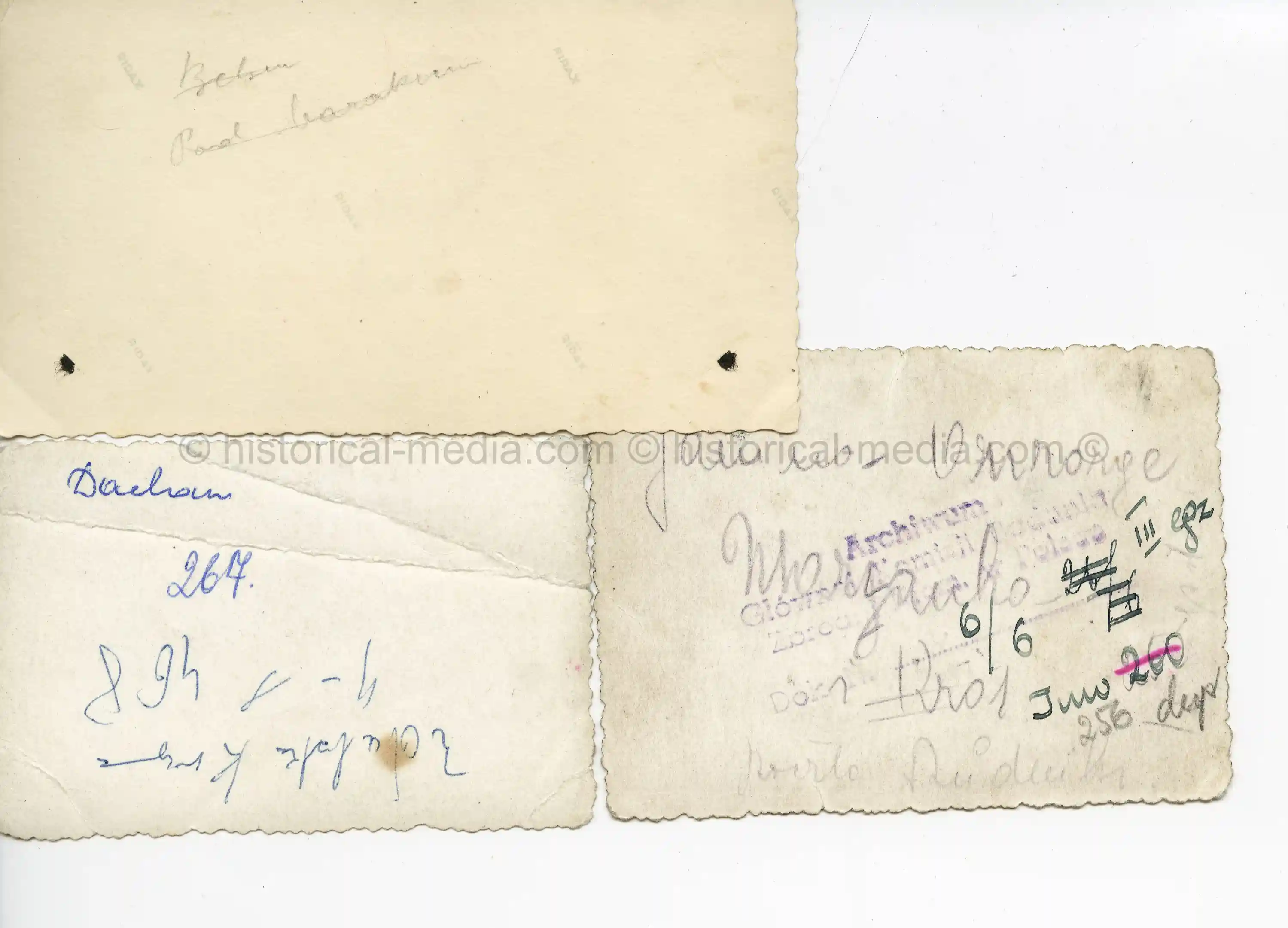 3X USGI PHOTOS OF CONCENTRATION CAMP VICTIMS - DACHAU, BELSEN