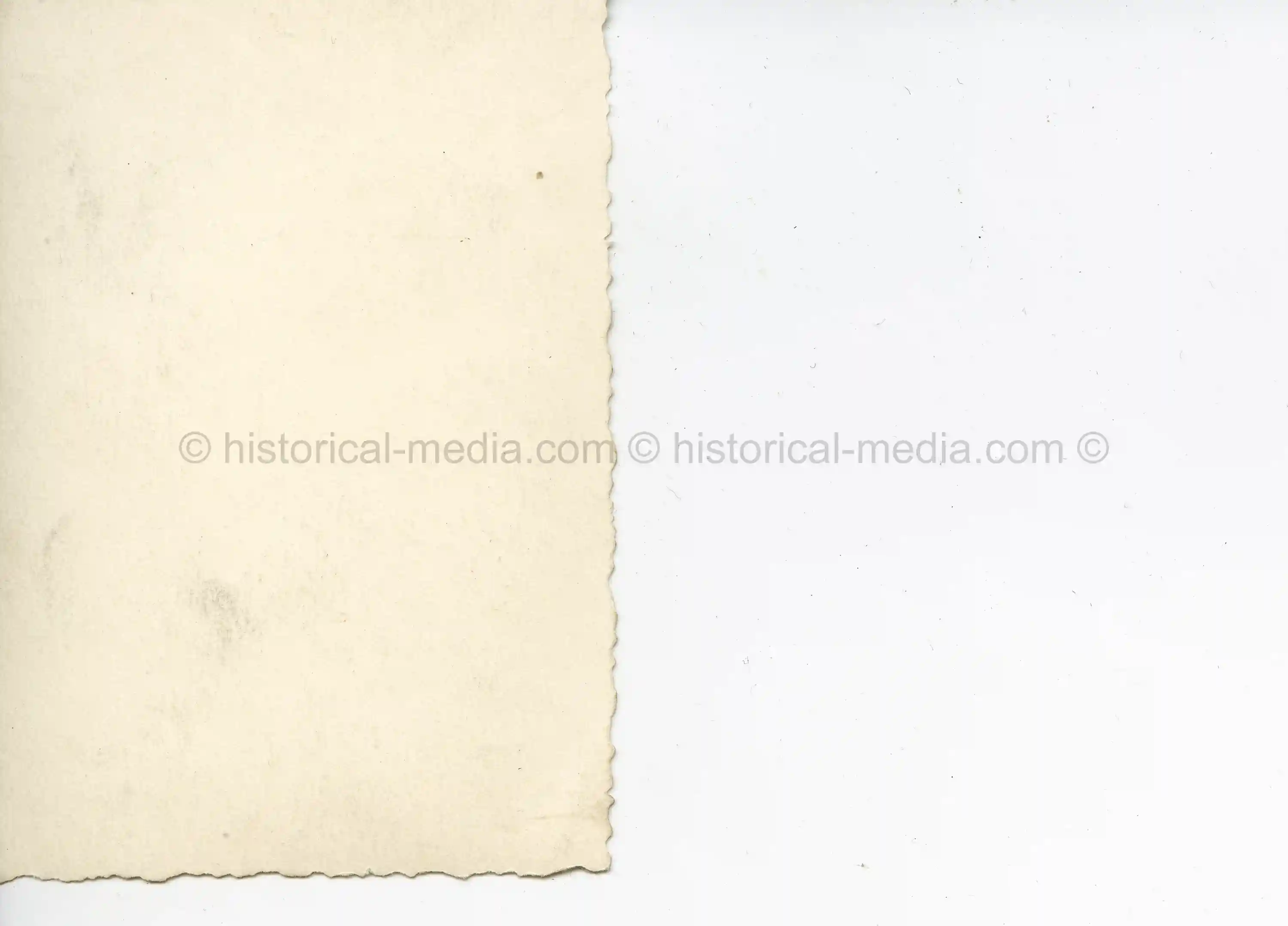 STUDIO PORTRAIT STURMGESCHÜTZ MAN IN FELDGRAU TUNIC