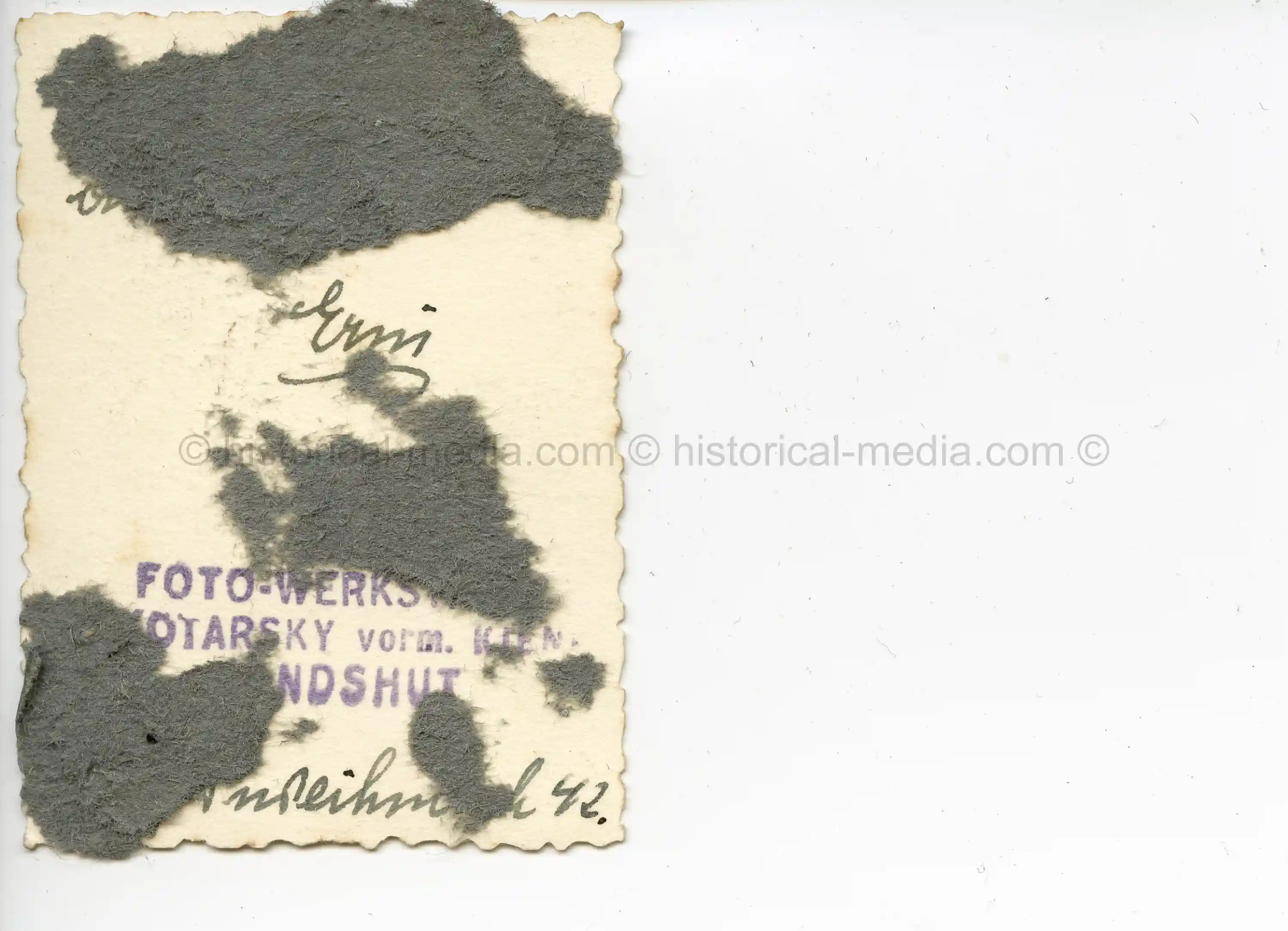 PASS SIZE STUDIO PORTRAIT LUFTWAFFE FEMALE BLITZMÄDEL