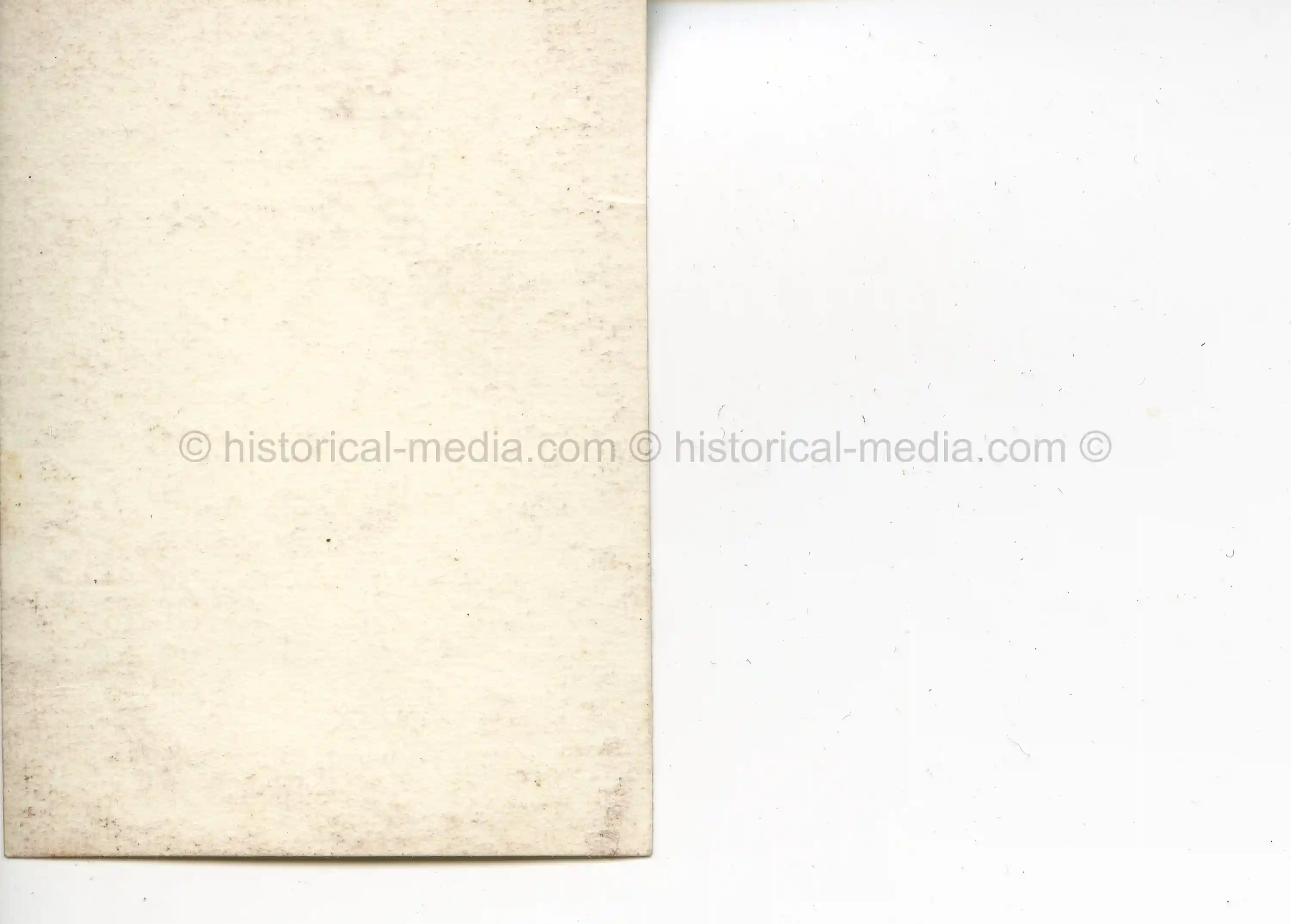 PASS SIZE STUDIO PORTRAIT BDM GIRL