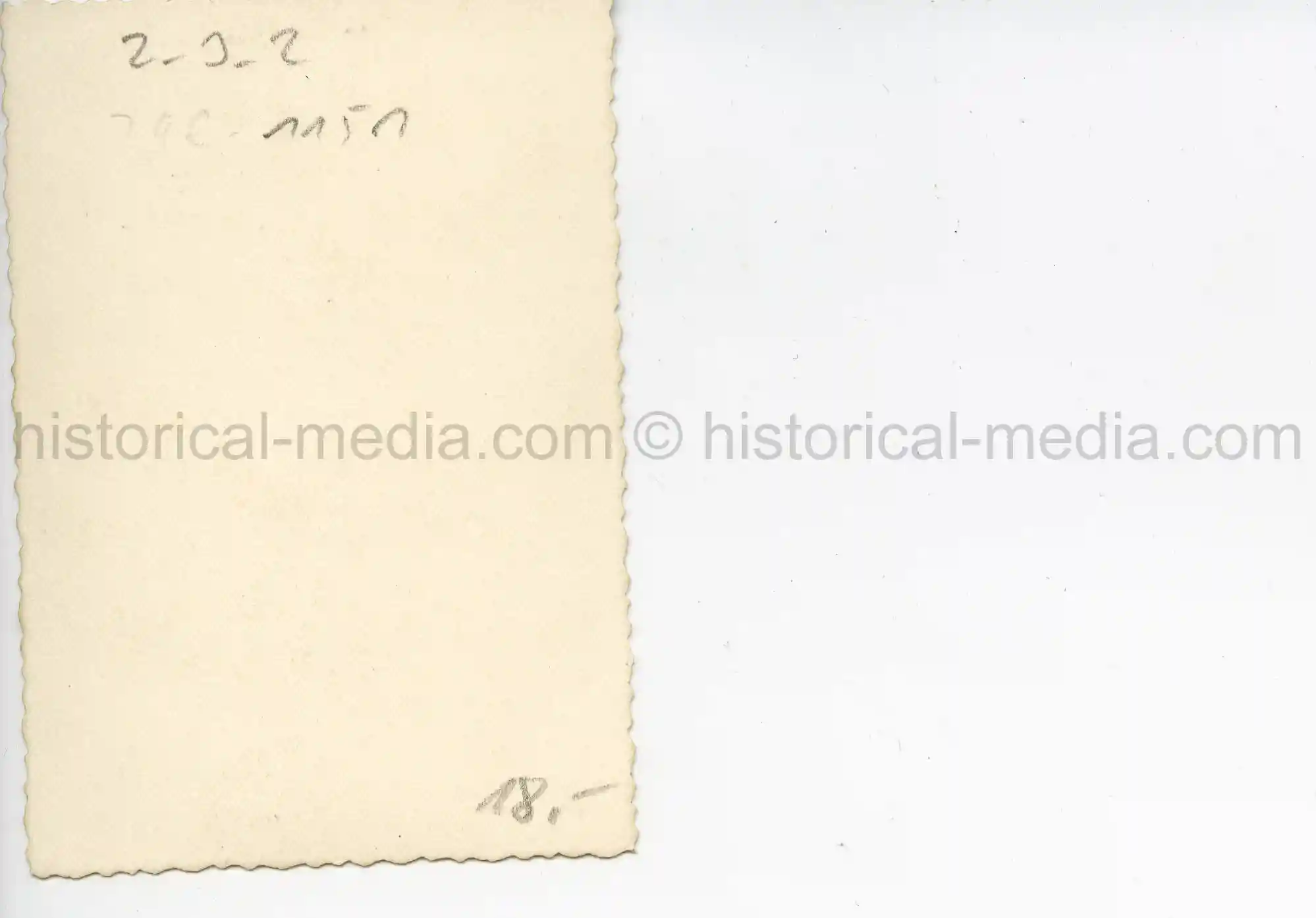 FIELD PORTRAIT PHOTO PANZER MAN WEARING BLACK TUNIC & MEDALS