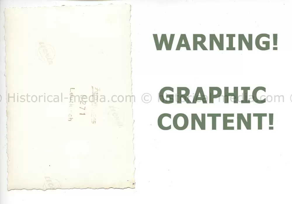 20250405 1580.webp