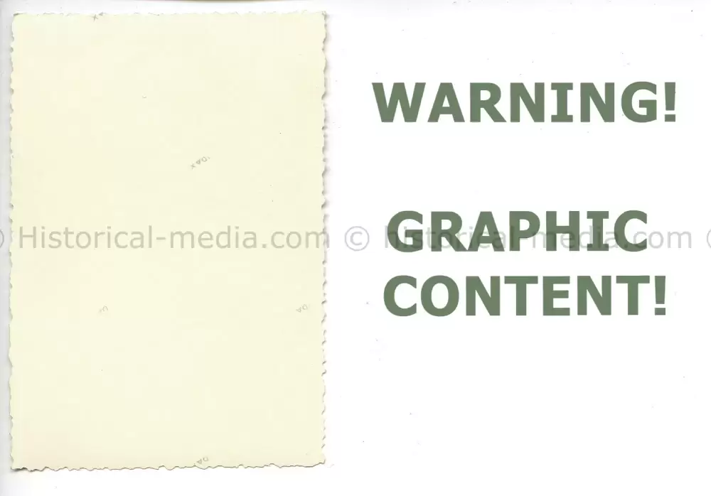 20250405 1582.webp