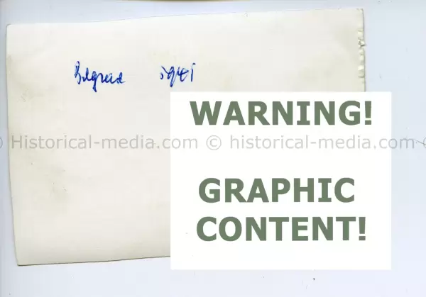 20250405 1598.webp