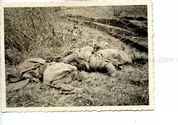 PHOTO OF KIA RUSSIAN SOLDIERS IN THE FIELD