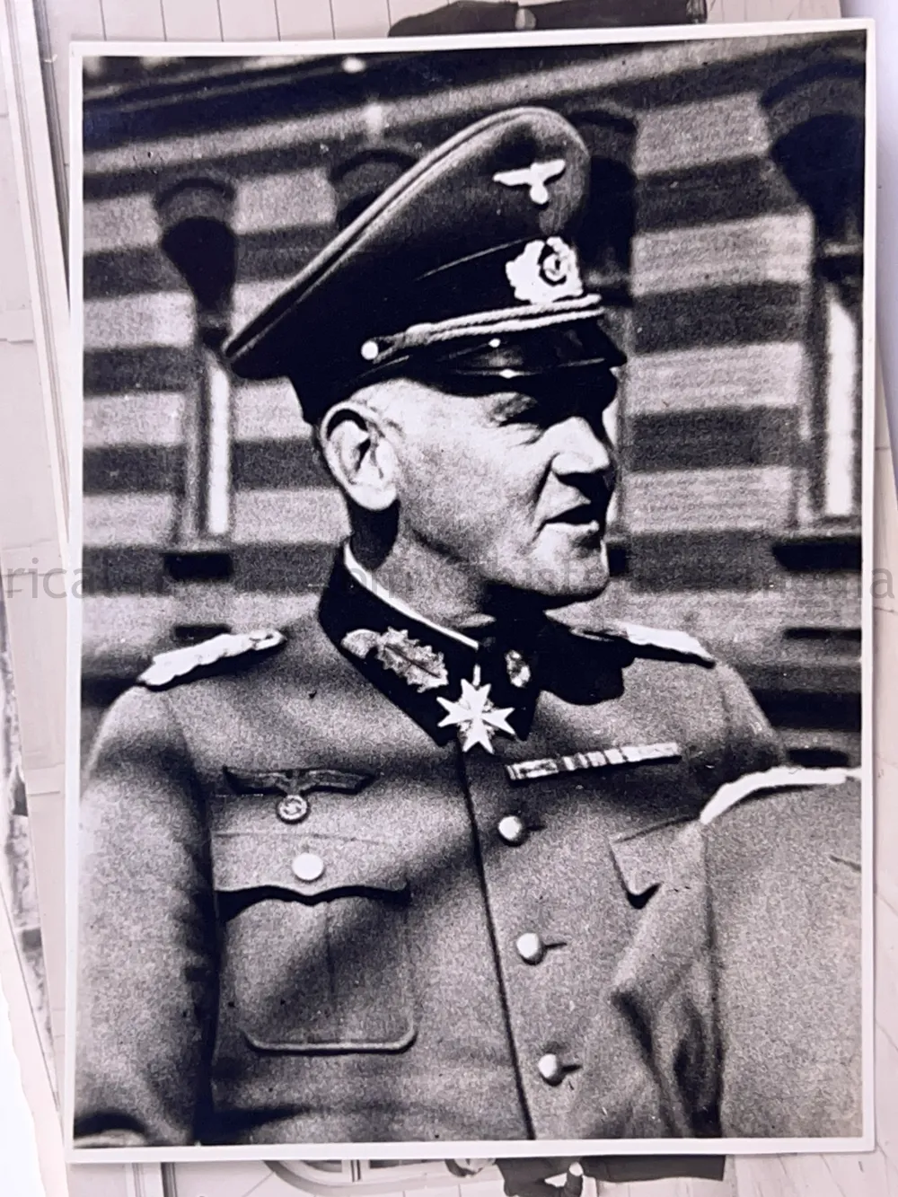 GERMAN THIRD REICH SA & SS PHOTO GROUPING