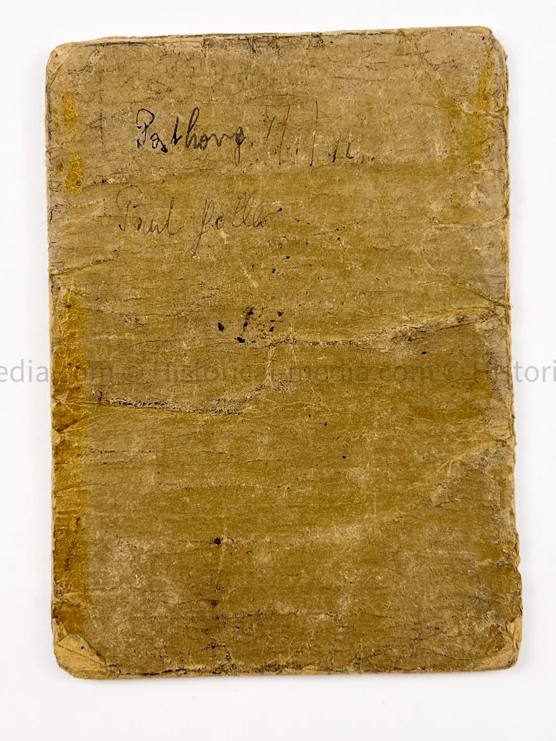 HEER SOLDBUCH - PANZER JÄGER ABTEILUNG 100 - 100 JÁGER DIVISION - STALINGRAD