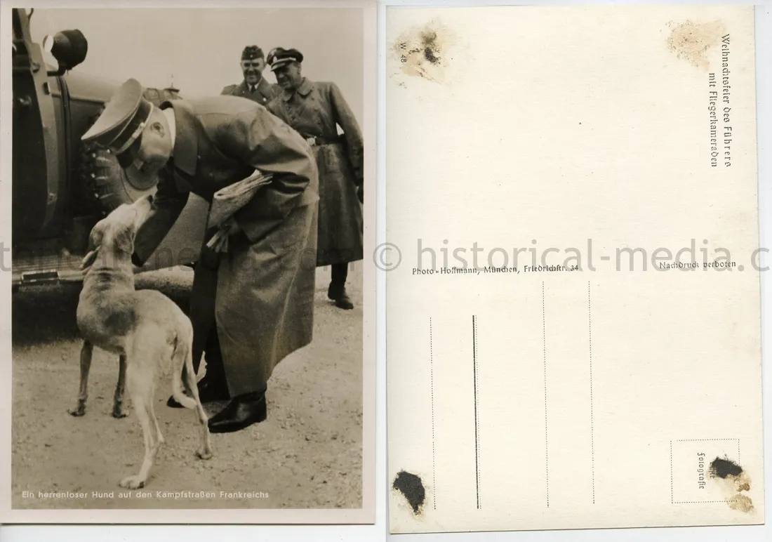 POSTCARD PHOTO - HITLER PETTING A DOG