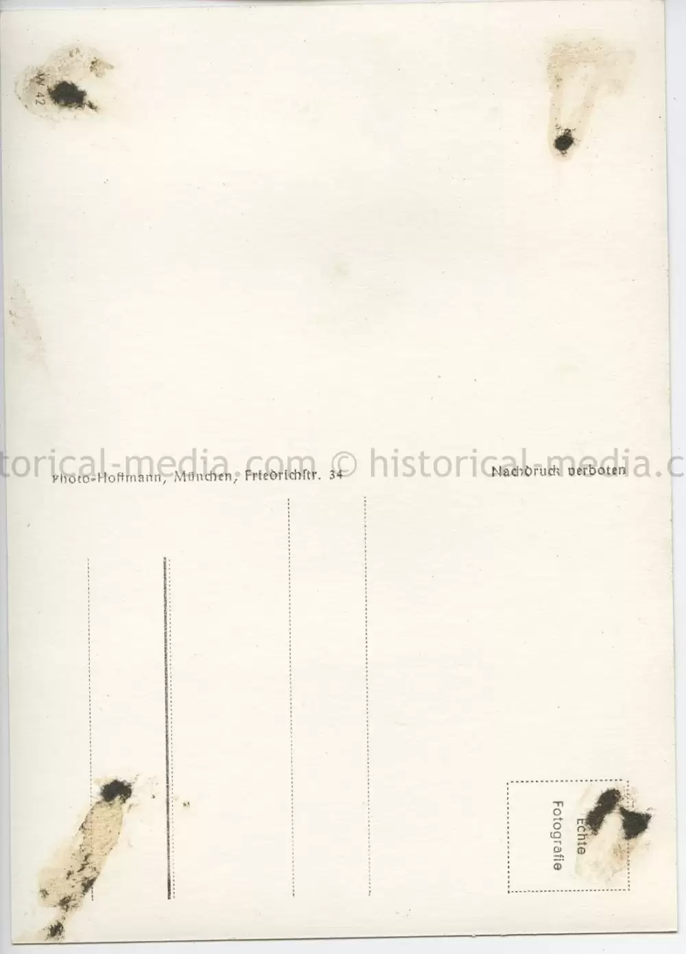 POSTCARD PHOTO - HITLER PETTING A DOG