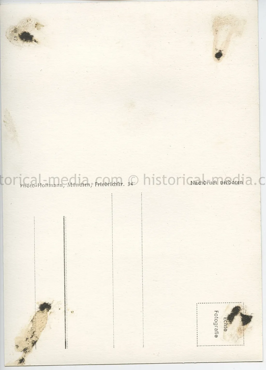 POSTCARD PHOTO - HITLER PETTING A DOG