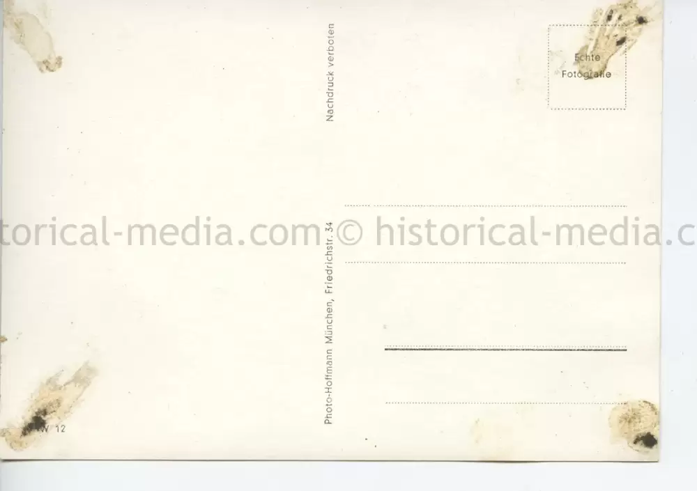 POSTCARD PHOTO - HITLER & HORSE - VOGESEN FRANCE 1940