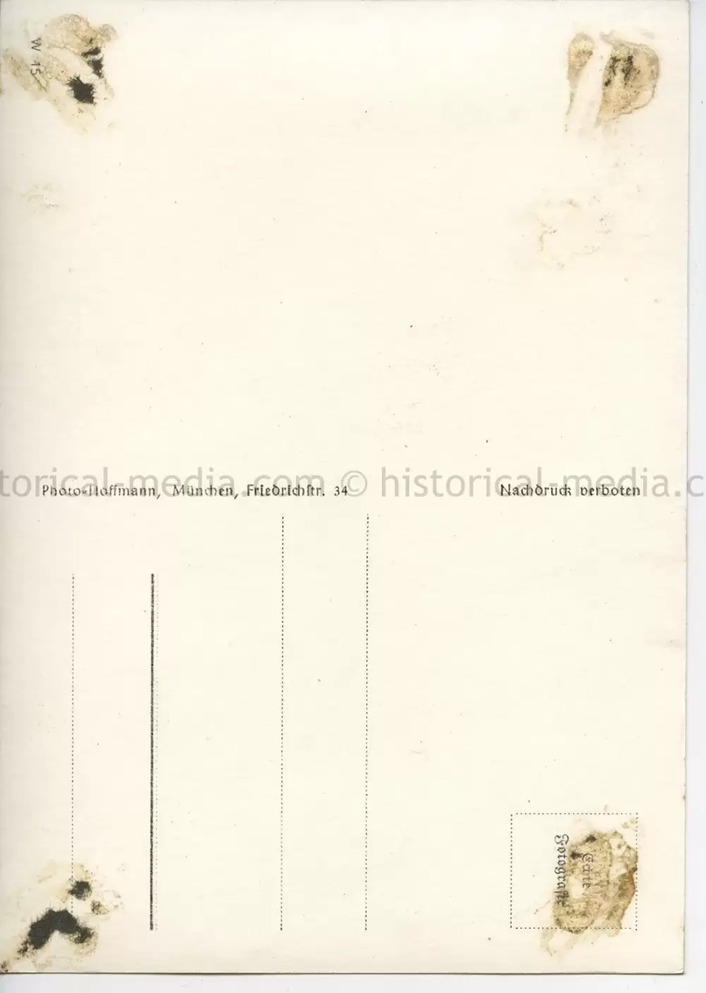 POSTCARD PHOTO - HITLER & GENERALS IN FRANCE 1940