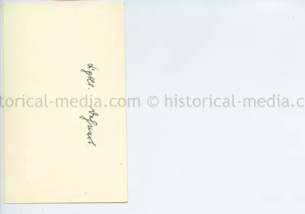 STUDIO PORTRAIT PHOTO - KRIEGSMARINE OFFICER - DESTROYER BADGE + NARVIK SHIELD