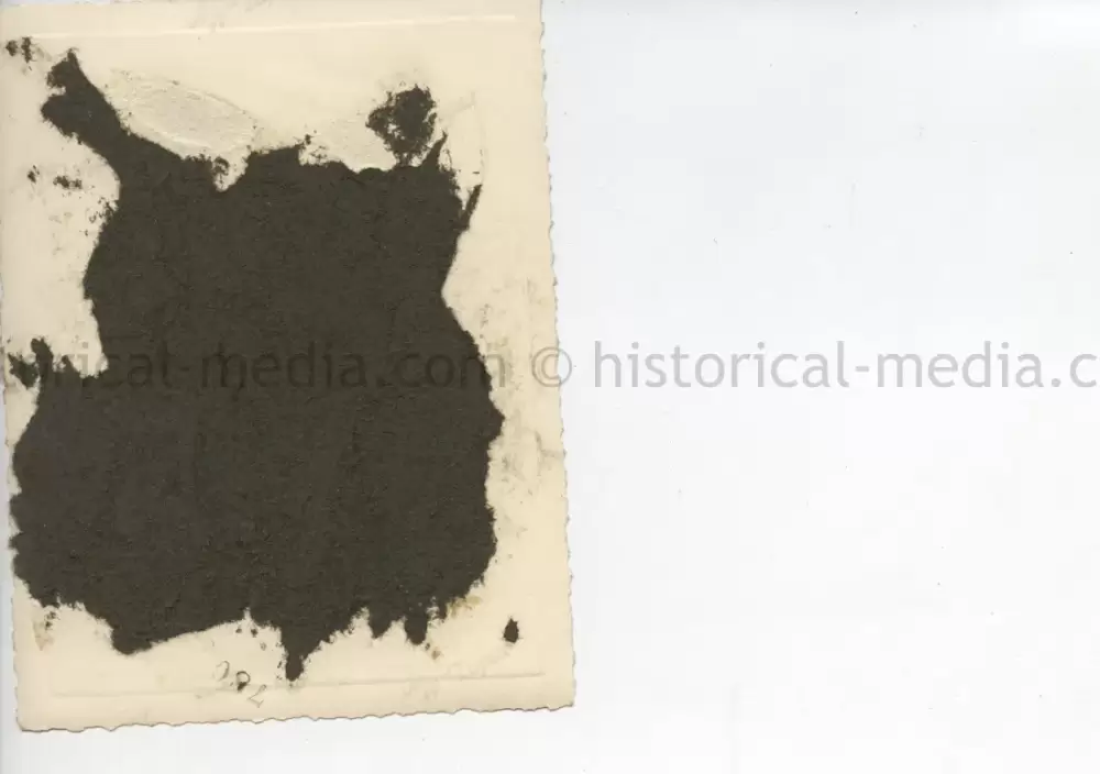 ORIGINAL PRIVATE PHOTO OF HITLER ON PARADE