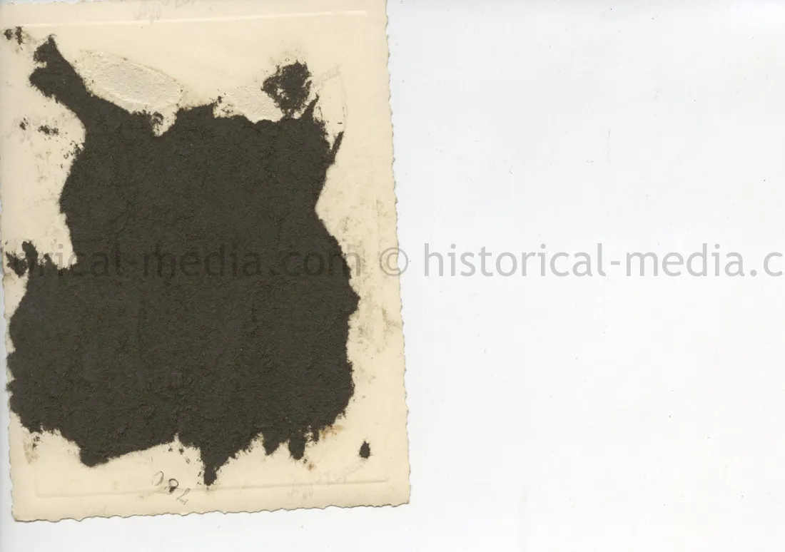 ORIGINAL PRIVATE PHOTO OF HITLER ON PARADE