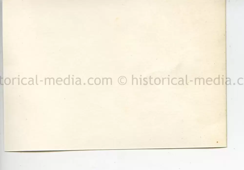 ORIGINAL PROFESSIONAL PHOTO OF HITLER GIVING A SPEECH