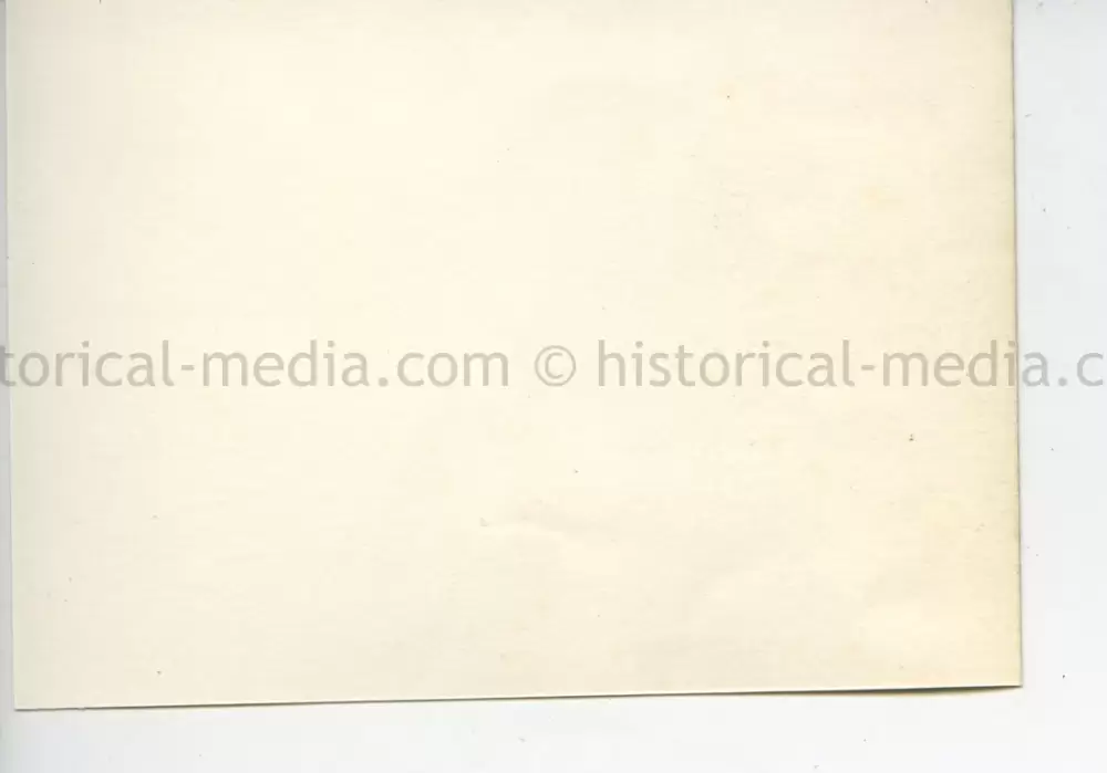 ORIGINAL PROFESSIONAL PHOTO OF HITLER GIVING A SPEECH