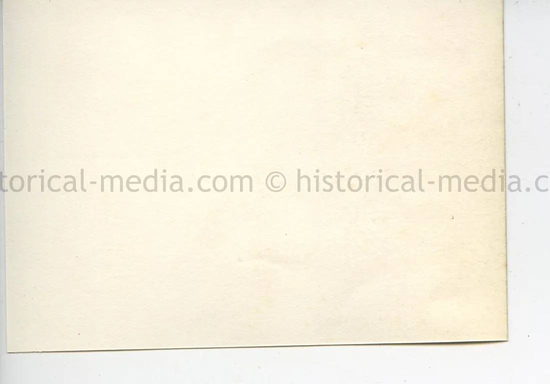 ORIGINAL PROFESSIONAL PHOTO OF HITLER GIVING A SPEECH
