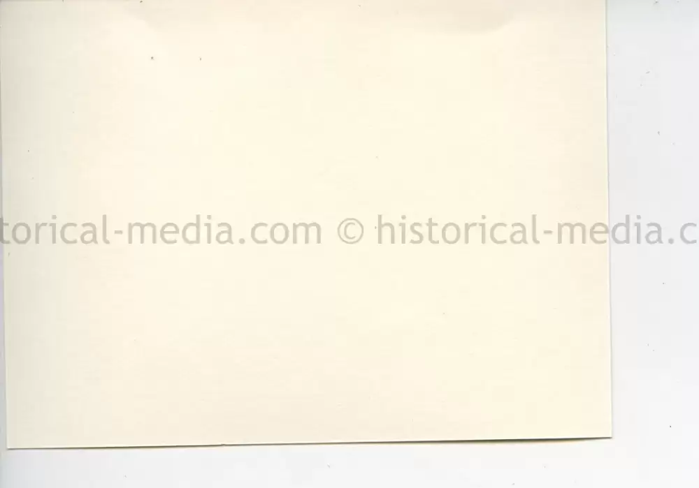 ORIGINAL PROFESSIONAL PHOTO OF HITLER GIVING A SPEECH